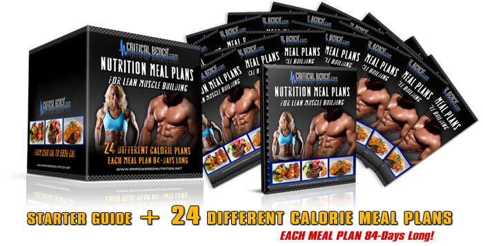muscle building nutrition