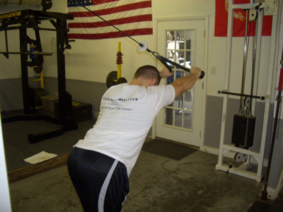 http://www.criticalbench.com/exercises/pics/overhead-cable-extension2.jpg