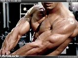 Tampa Bay personal training online