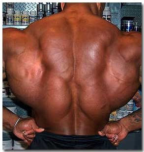How To Get a Wider Back, Wide Back Exercises