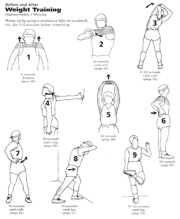 Stretching Exercises Chart