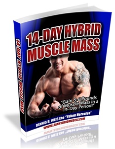 Review of Elliott and Mike's 14-Day Hybrid Muscle Mass