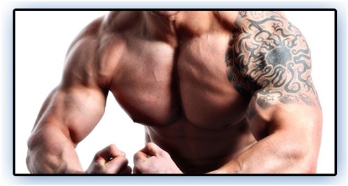 Review of 14-Day Hybrid Muscle Mass