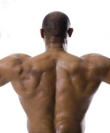 Rhomboid Back Exercises video demonstrations for exercising your chest muscles