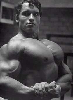 Bodybuilder Arnold Schwarzenegger