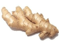 Ginger Root Supplement Review and Guide 