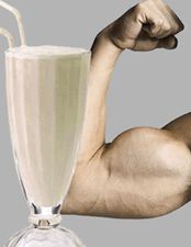 Whey Protein Supplement Review and Guide 