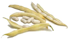 White Kidney Bean Supplement Review and Guide