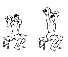 Develope Your Shoulder Muscles With This Barbell Shoulder Press Exercise