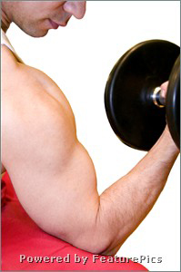 Which Is Better For Building Lean Muscle: Machines Or Free Weights?