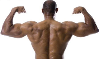 Different Muscles At The Same Time Muscle Building Program