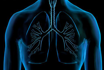 Your 3 Best Options for Increased Lung Capacity